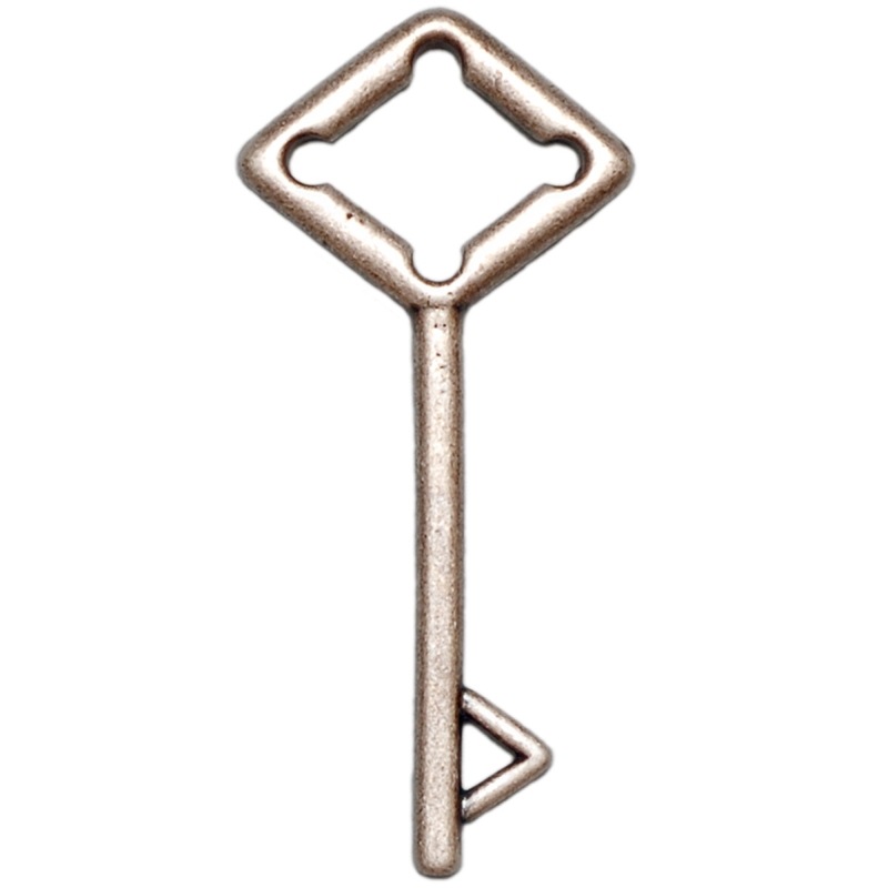 [830840000] Key pendant 63x29mm