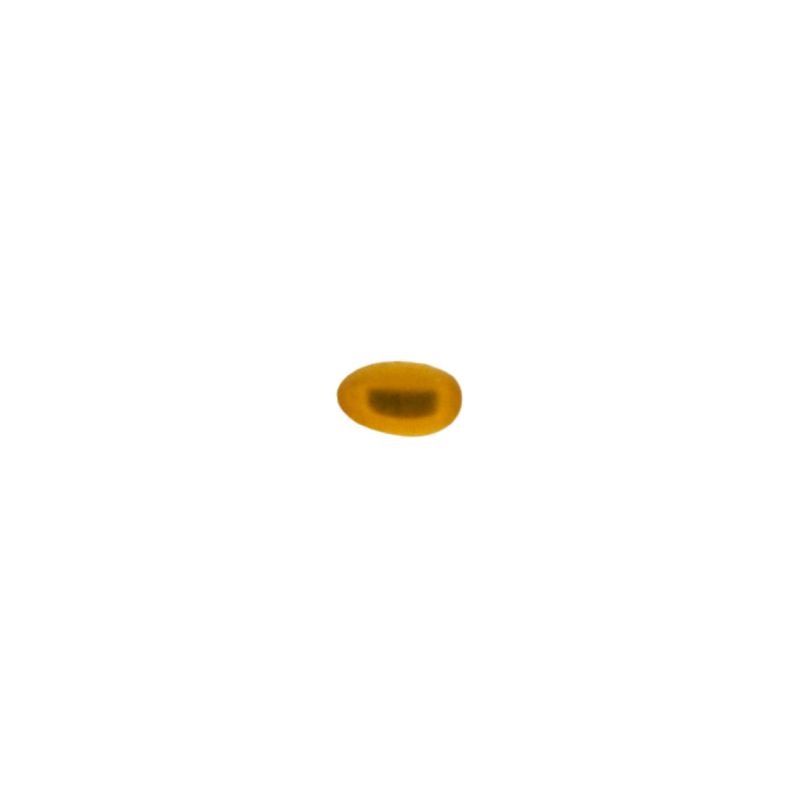 [750060400] Pierre cabochon oval 3x5mm base plate couleur topaze