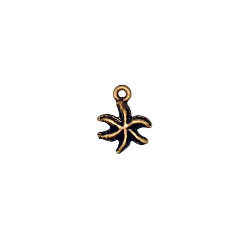 [115540000] Pendentif étoile 14x11mm