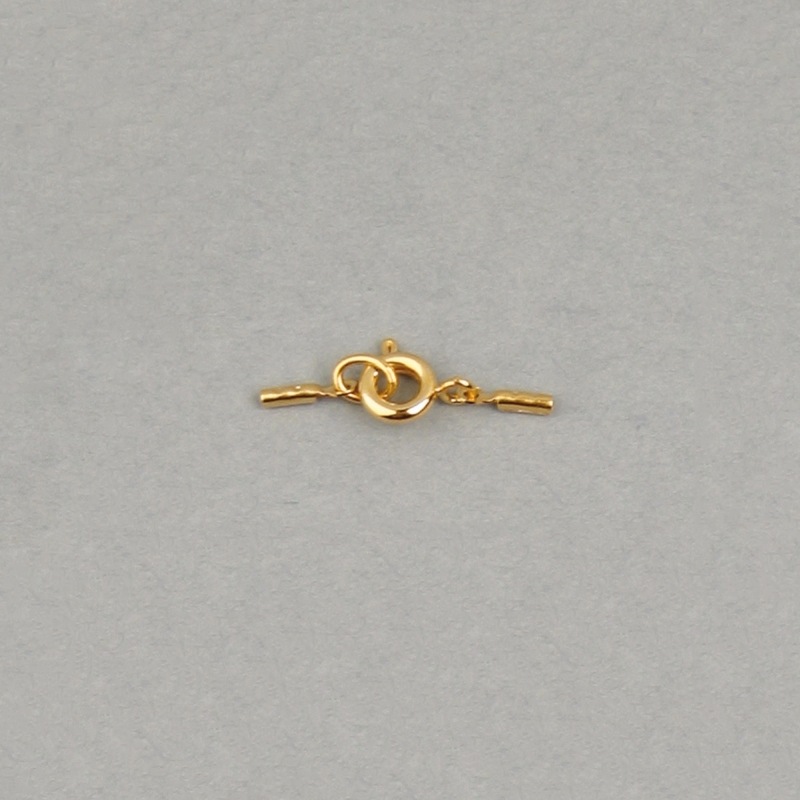 [110090000] Set spring clasp Ø 6mm + 2 ends to Ø 0,6mm wire