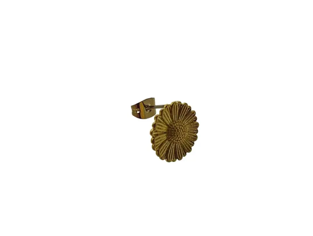 [129640000] Clou d'oreille rond Ø 11mm avec anneau ouvert (sans poussoir de boucle d'oreille))